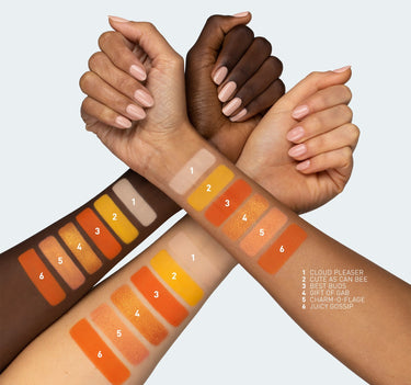 Ready For Anything Eyeshadow Palette - Color Key, shades 1-6 1 CLOUD PLEASER 2 CUTE AS CAN BEE 3 BEST BUDS 4 GIFT OF GAB 5 CHARM-0-FLAGE 6 JUICY GOSSIP {Social Butterfly}