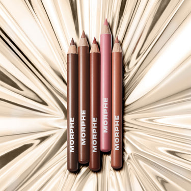 Full Holiday Collection Bundle