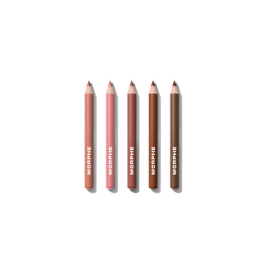 Full Holiday Collection Bundle