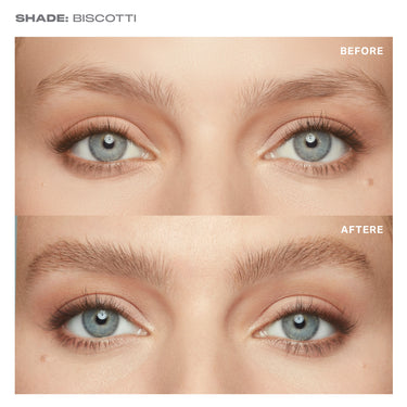 {Biscotti (light taupe)}