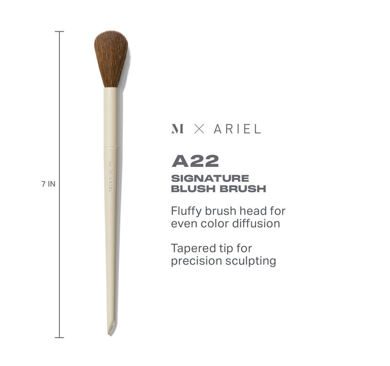 Morphe X Ariel A22 Signature Blush Brush - Image 4