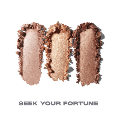 {Seek Your Fortune}
