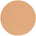 FILTER TAN 22