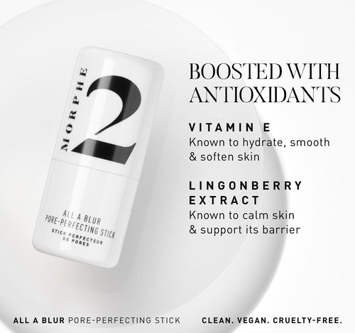 All A Blur Pore-Perfecting Stick - Product Ingredient Infographic, view larger image-view-8